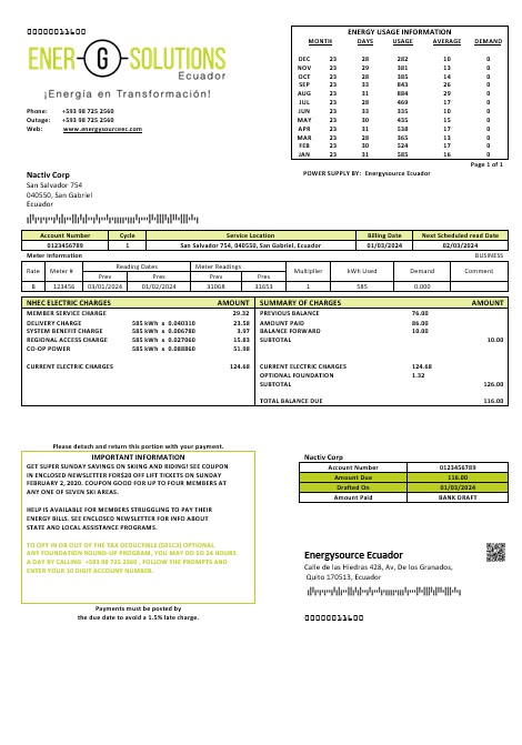 Ecuador Energysource Ecuador energy business utility bill template (2) PSD template